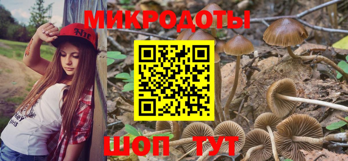 Псилоцибиновые грибы Magic Shrooms Славянск-на-Кубани